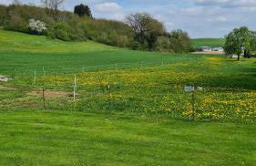 Ferienwohnung am Weinberg - Foto 8