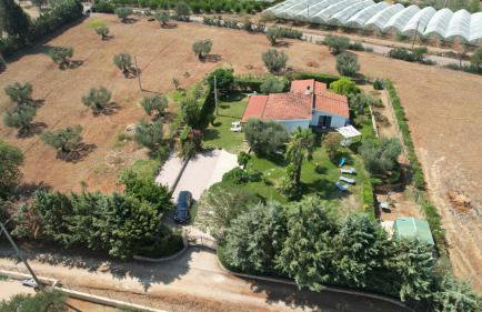Villa Leone - Photo 15