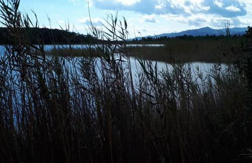 JOLIE VILLA dans un endroit paisible, à 3 mn de la Mer et de la Montagne - Foto 13