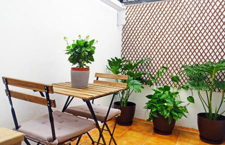 Santa Cruz de Tenerife, piso céntrico, amplio y con garaje - Foto 23