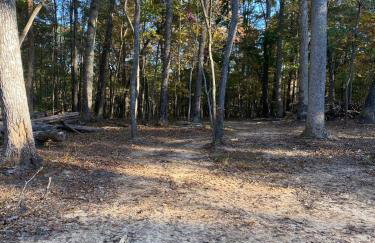 Quiet Forest Vacation home on a Private Road with Spacious Patios, Fire pit, Pet friendly and a Private pool - Foto 7