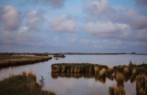 La Casita del Poble Nou del Delta - Foto 47