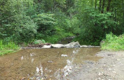 Leśny Domek - Foto 72