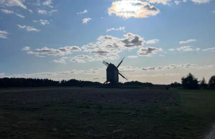 Stilvolle Landidylle in der Südheide - Foto 32