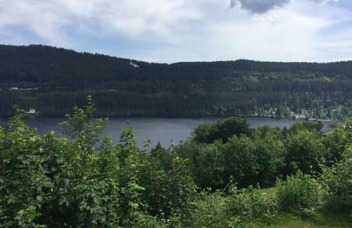 Ferienwohnung Waldrose am Titisee - Foto 18