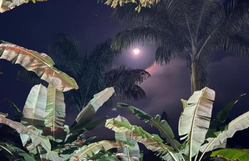 Sítio casa das fadas em Pacoti - Foto 12