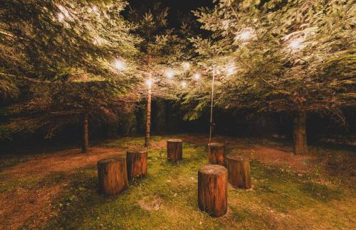 Leśna Enklawa - Foto 35