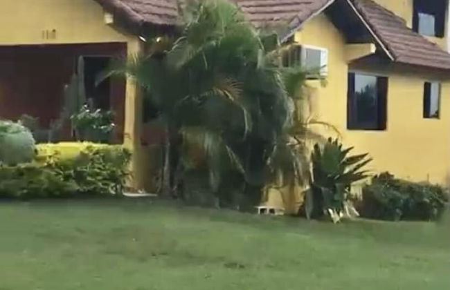 Hartland Sunshine - Foto 42