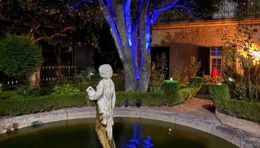 Casa das Camélias - Foto 5