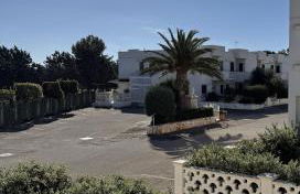 Mirus Luna - Foto 10