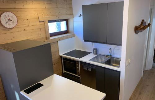 Aravis 1500, No 4, Appartement 3 pièces, Vue montagne - Foto 11