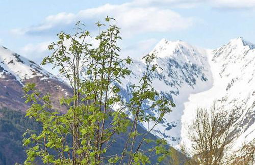 Skiview #103 - Foto 19