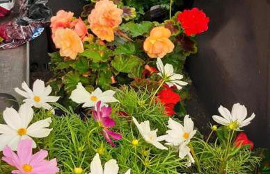 Lincoln Holiday Retreat Cottage with Private Hot Tub - Foto 72