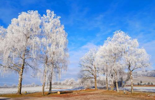 Fewo Waldtherme Relaxen, wandern, Radfahren - Foto 49