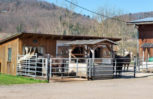 Albpartments - Foto 6