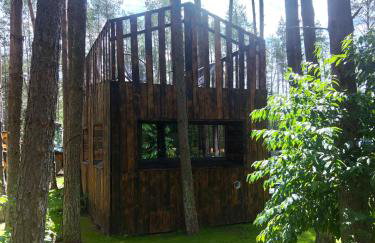 Domek lubiana180 SCANDI wśród drzew JACUZZI SAUNA KOMiNEK i TARAS na dachu jezioro Kaszuby Pieski tylko do 10kg za dodatkową opłatą - Foto 52