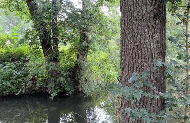 Landgut zur Mühle - Foto 31