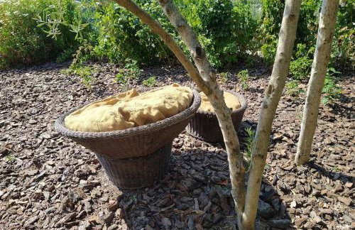 New Honey House, Serra do Marão Ansiães-Amarante - Foto 36