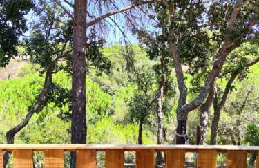 Cabanas de Melides - Foto 15