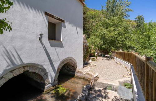 Molino del Nacimiento - Foto 12