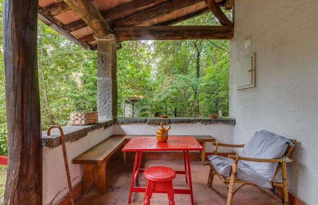 Vintage Vacation Home - Photo 31