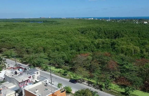 Bahari Cancun - Adults Only - Photo 39