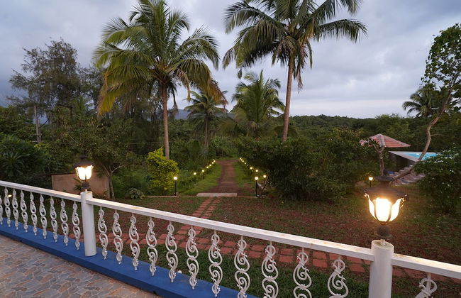 Indira Farms - Foto 37