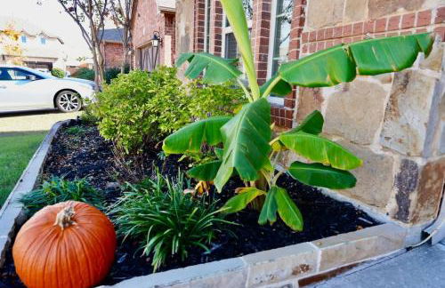 Beautiful home next to PGA guest suite Frisco - Photo 18