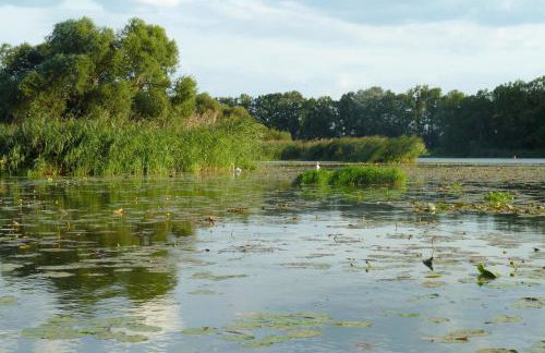 Ferienwohnung Havelnixe - Photo 22