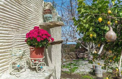 Oak Farm Traditional guesthouse - Foto 30