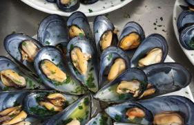 Giardini di Marzo - Foto 49