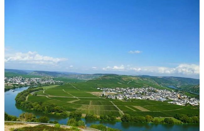 Holiday Apartment Moselle Beach 1 - Photo 10