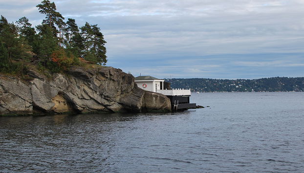 Fjord sightseeing - Photo 2