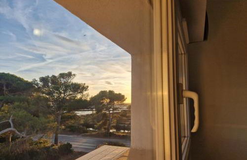 Les flamants roses de la Capte T2 - Foto 4