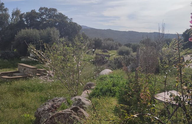 Il nuraghe - Foto 67