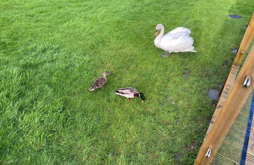 Lakeland Lodge- 3Bed-2 Bath- Private Patio - Foto 25