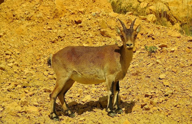 Alojamientos rurales Angelita - Foto 50