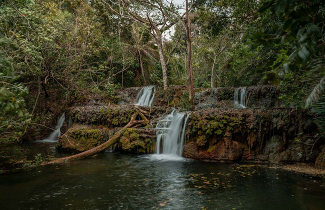 Randonnée aux cascades de la rivière Mimoso - Foto 4