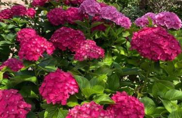 Meerlust Spiekeroog - Foto 37