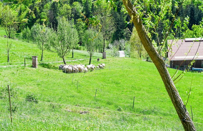 Loft-like Apartment With Swimming Pond - Photo 23