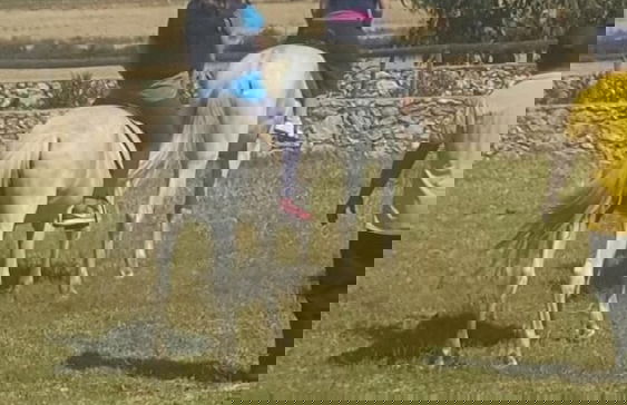 Koheilan Oriental Lodge Farm - Photo 16