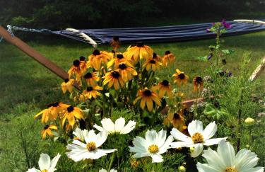 Butterfly Factory - Foto 40