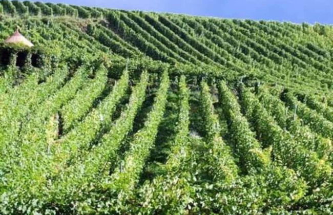 Essen Garden Hideaway - Foto 30