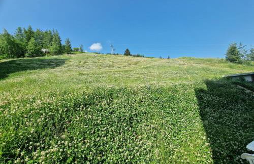 ski au pied, 3ch 2Sdb Garage Terrasse - Foto 9