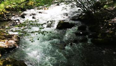 Le Nid de Laly - Foto 3