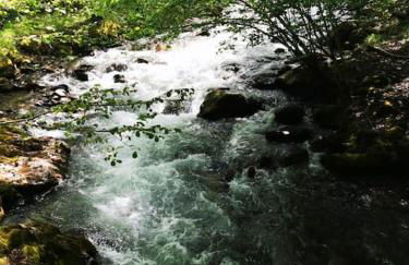 Le Nid de Laly - Foto 3