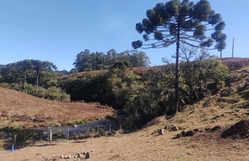 De oio no arroio - Foto 40