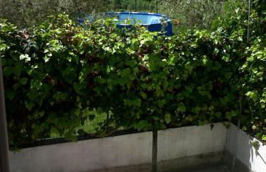 Vivi la versilia e le 5 terre - Foto 37