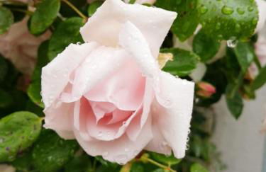 Ferienwohnung 1880 - Foto 24