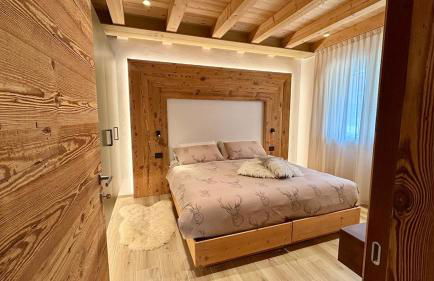 Deluxe Apartment Dolomites Chalet Primiero San Martino di C - Foto 16